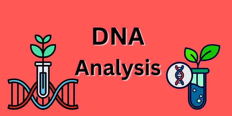 Role of AI in Biotechnology: Uses, Impact & Future DNA analysis