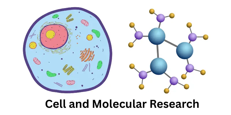 Role of AI in Biotechnology: Uses, Impact & Future cell and mloecular research