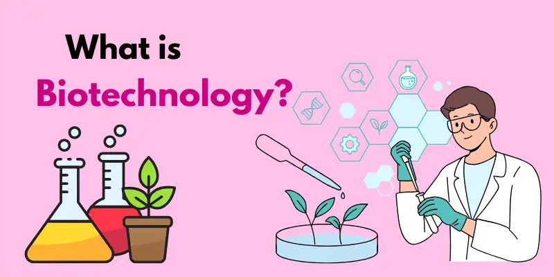 Role of AI in Biotechnology: Uses, Impact & Future what is biotechnology