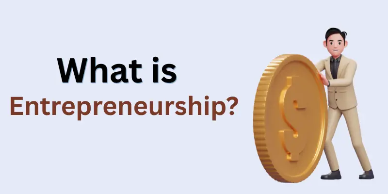 what is entrepreneurship